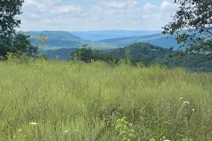 377 Old Scott Farm Rd, Moorefield, WV 26836 - Photo 1