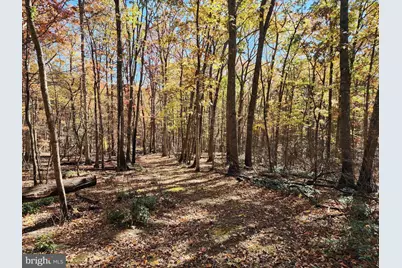 Lot 22 - Lost River Sub Div, Mathias, WV 26812 - Photo 1