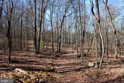 Lot 7 Hamilton Estates Drive, Romney, WV 26757 - Photo 1