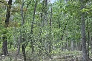 0 N Pioneer Ln, Augusta, WV 26704 - Photo 1