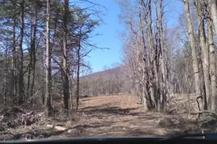 Critton Owl Hollow Rd, Slanesville, WV 25444 - Photo 1