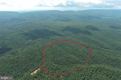 113 Acres Off Capon Springs Road, Yellow Spring, WV 26865 - Photo 1
