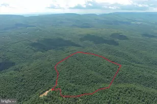 113 Acres Off Capon Springs Rd, Yellow Spring, WV 26865 - Photo 1