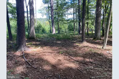 Croston North River Road N, Bloomery, WV 26817 - Photo 1