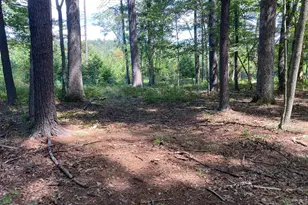 Croston North River Road N, Bloomery, WV 26817 - Photo 1