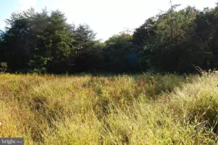 Lot 60 Buffalo Ridge Rd, Augusta, WV 26704 - Photo 1