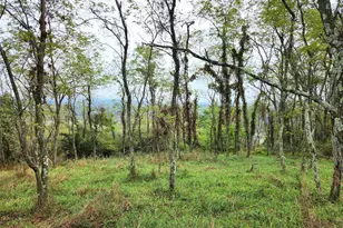 Hidden Valley Dr Off Of Piney Mountain Rd, Romney, WV 26757 - Photo 1