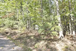 Lot 14 Deep Run Hollow, Delray, WV 26714 - Photo 1