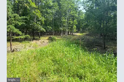 6 Beaver Run Road, Burlington, WV 26710 - Photo 1