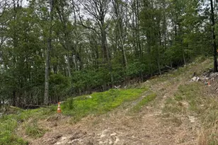 Lot 17 Robert's Ln, Great Cacapon, WV 25422 - Photo 1