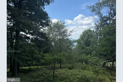 0 Fire Tower Road, Great Cacapon, WV 25422 - Photo 1