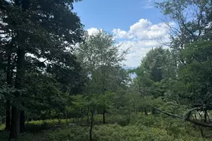 0 Fire Tower Rd, Great Cacapon, WV 25422 - Photo 1