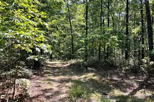 999 Short Mountain Ln, Hedgesville, WV 25427 - Photo 1