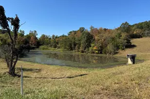 Fearnow Rd, Berkeley Springs, WV 25411 - Photo 1