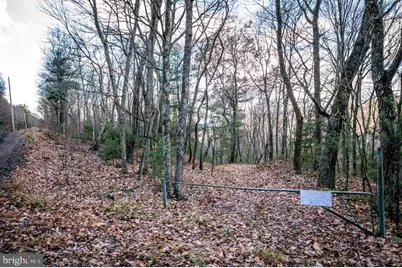 Lot 22 Buck Ridges Road, Franklin, WV 26807 - Photo 1