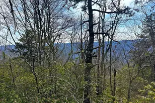 11 Acs Summit Dr, Franklin, WV 26807 - Photo 1