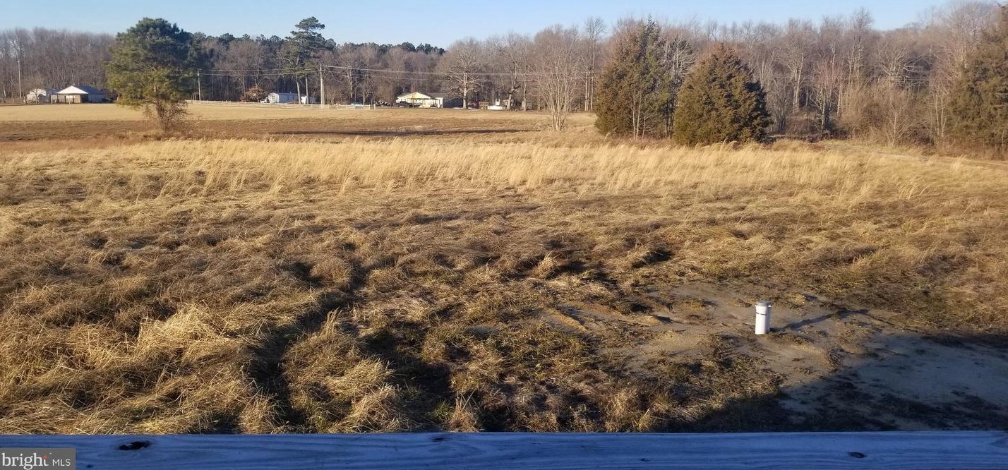5394 Park Brown Rd, Harrington, DE 19952