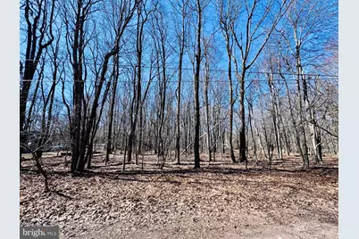 Lot 6 Winchester Lane, Pocono Summit, PA 18346 - Photo 1