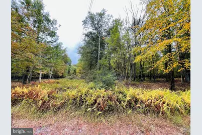 255 Chamonix Lane, Zion Grove, PA 17985 - Photo 1