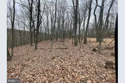 125 Spring Mountain Drive, Zion Grove, PA 17985 - Photo 1