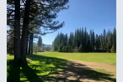 597 Miner's Passage, Clio, CA 96106 - Photo 1