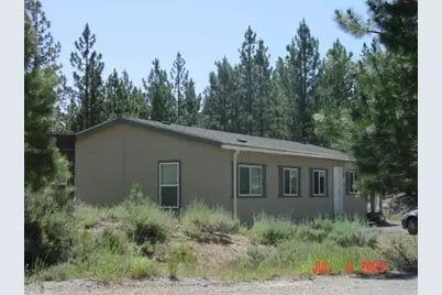 29 Cedar Ravine Road, Beckwourth, CA 96122 - Photo 1