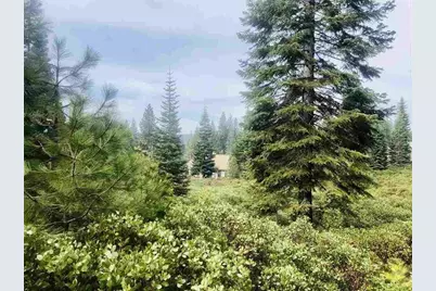 92 Fox Peak Drive, Lake Almanor, CA 96137 - Photo 1