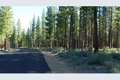 189 Red Sky, Portola, CA 96122 - Photo 1