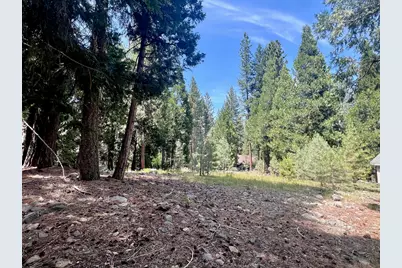 80 Paiute Trail, Graeagle, CA 96103 - Photo 1