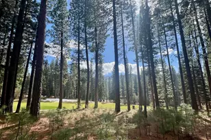 879 Prospector Dr, Clio, CA 96106 - Photo 1