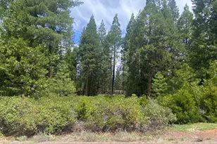 790 Red River Dr, Lake Almanor, CA 96137 - Photo 1