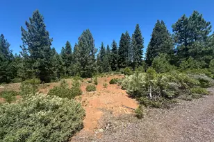 360 Bailey Creek Dr, Lake Almanor, CA 96137 - Photo 1