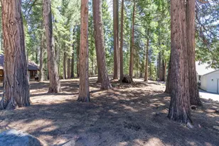 718 E Mountain Ridge Rd, Lake Almanor, CA 96137 - Photo 1