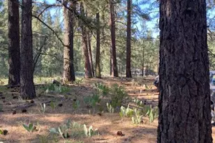 410 Idle Hour Dr, Portola, CA 96122 - Photo 1