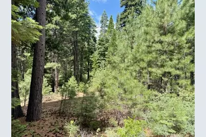 56 Fox Crest Drive, Lake Almanor, CA 96137 - Photo 1