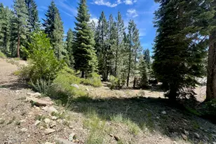 66 Eureka Trail, Johnsville, CA 96103 - Photo 1