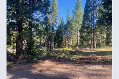 7500 Highway 147, Lake Almanor, CA 96137 - Photo 1