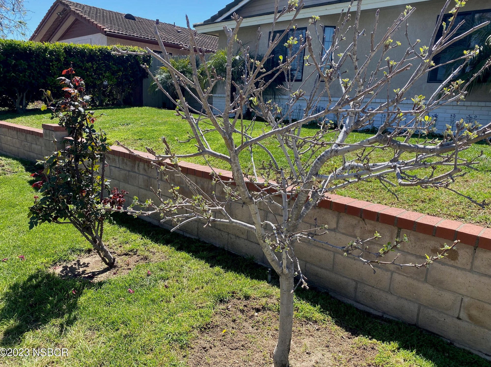 615 Tiffany Dr #a, Santa Maria, CA 93454