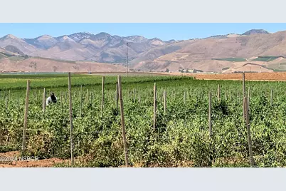 3480 Orcutt Garey Road, Santa Maria, CA 93454 - Photo 4