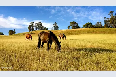 2852 Tapadero Road, Los Olivos, CA 93441 - Photo 36