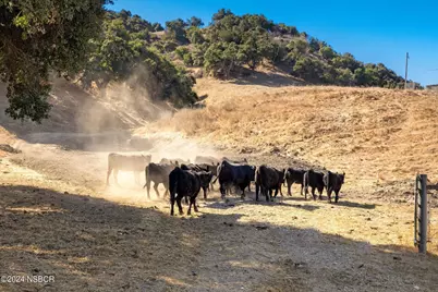 000 Highway 135, Los Alamos, CA 93440 - Photo 24