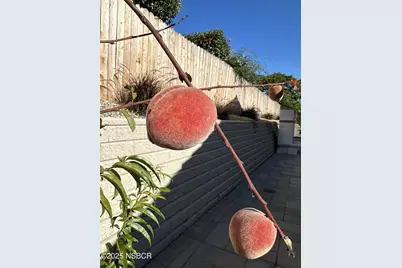 4654 Hummel Drive, Santa Maria, CA 93455 - Photo 30