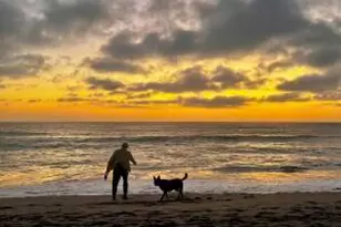 305 Mesa Ln Ln, Santa Barbara, CA 93109 - Photo 38