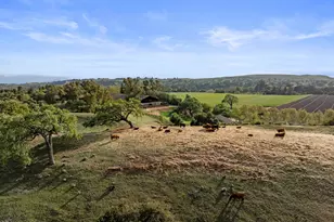 3325 Figueroa Mountain Rd, Los Olivos, CA 93441 - Photo 74