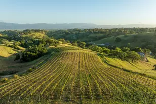 3275 Long Valley Rd, Santa Ynez, CA 93460 - Photo 4