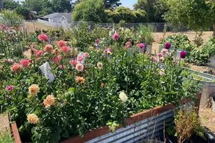 182-172 E Chestnut St, Nipomo, CA 93444 - Photo 44