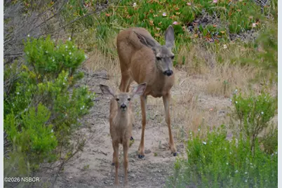 1294 Hollysprings Lane, Santa Maria, CA 93455 - Photo 46