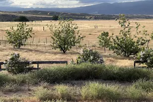 2170/7451 Aliso Canyon &amp Foothill Rd, New Cuyama, CA 93254 - Photo 58