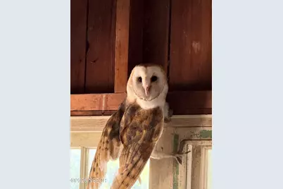 1701 W Hwy 246, Buellton, CA 93427 - Photo 30