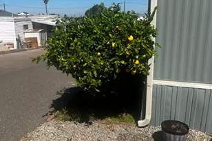 1600 E Clark Ave, Santa Maria, CA 93455 - Photo 36